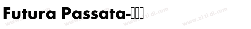 Futura Passata字体转换